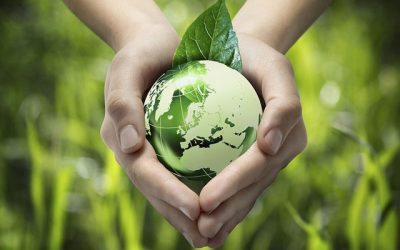 O cronologie globală privind emisiile zero