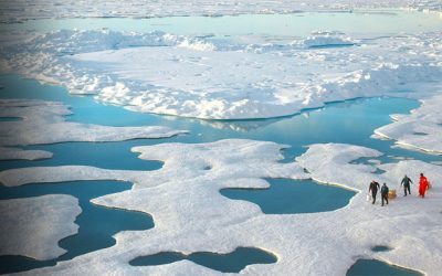 Shell se implică în problema schimbărilor climatice