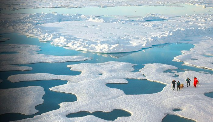 Shell se implică în problema schimbărilor climatice