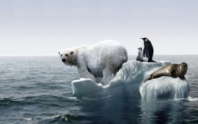 Incalzirea globala – o analiza surprinzatoare