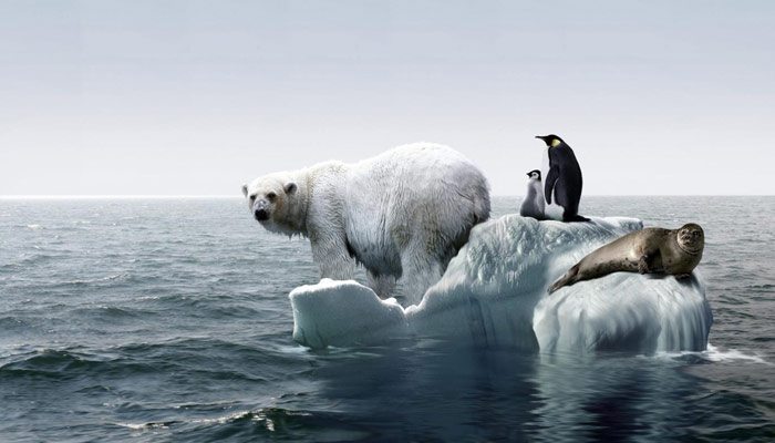 Incalzirea globala – o analiza surprinzatoare