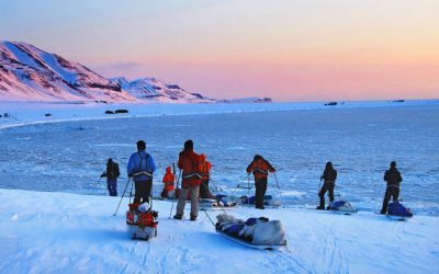 Semne de schimbare in zona arctica – observatii din calatoria lui David Hone
