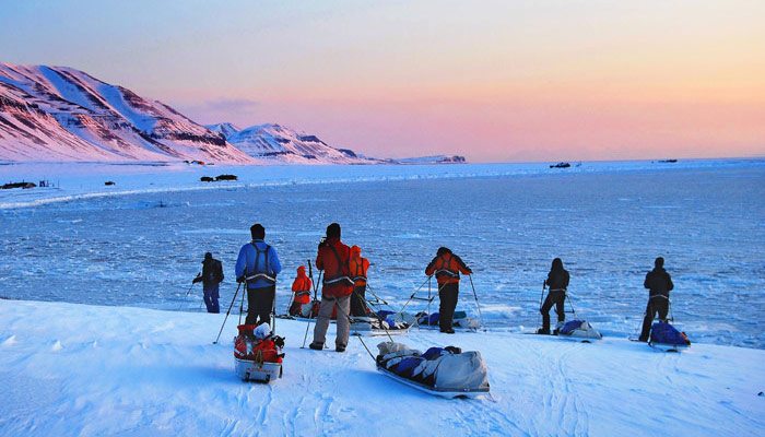 Semne de schimbare in zona arctica – observatii din calatoria lui David Hone