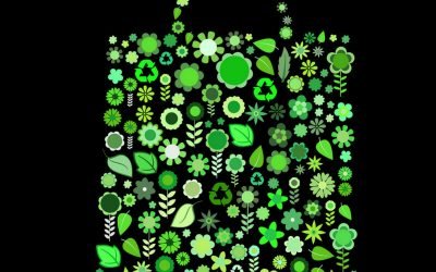 Practici ecologiste: ai grija de mediul inconjurator!