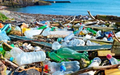 5 moduri eficiente de a limita deseurile provenite din ambalaje alimentare