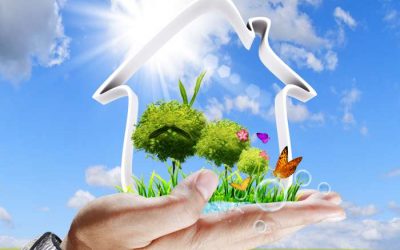 7 ponturi pentru o casa eficienta energetic si eco-friendly
