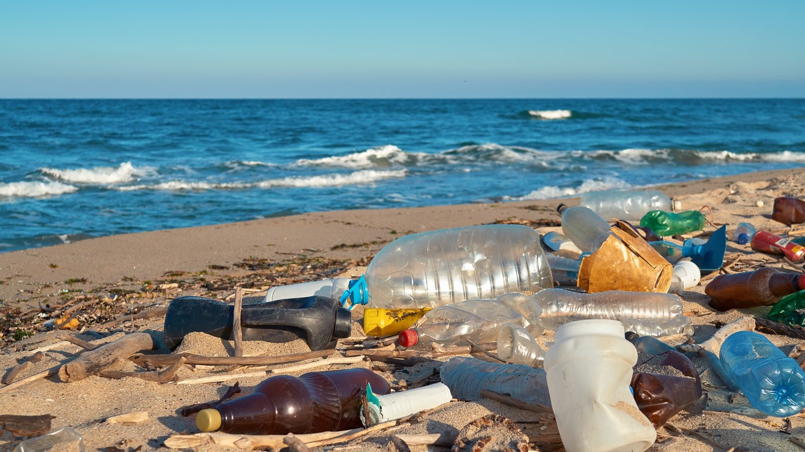 Combaterea poluarii cu plastic pentru un viitor mai verde