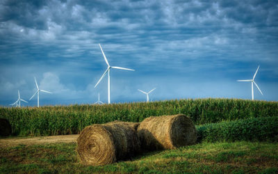 Evolutia energiei favorabile mediului