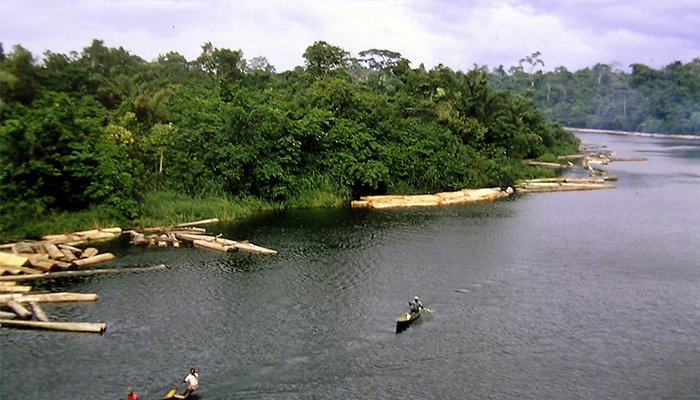 Eliminarea solului contaminat cu petrol din Delta Nigerului – preocupare de top pentru cercetatori