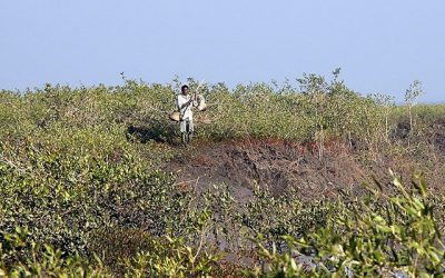 O noua viata pentru Coasta Hazira