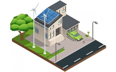 Cum sa iti transformi casa intr-o proprietate mai verde in vara aceasta