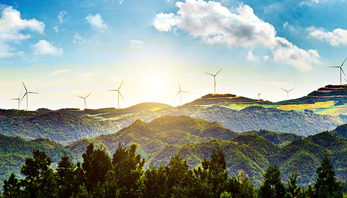Proiecte eoliene si solare pentru protejarea biodiversitatii