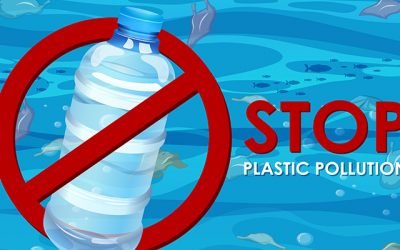 Plasticul din oceane: 5 pasi pentru reducerea deseurilor din mediul marin