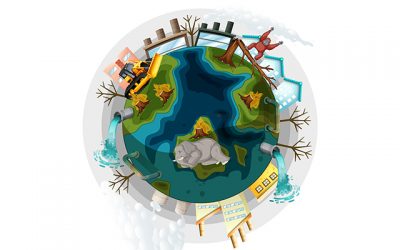 Top 5 organizatii care ajuta speciile protejate