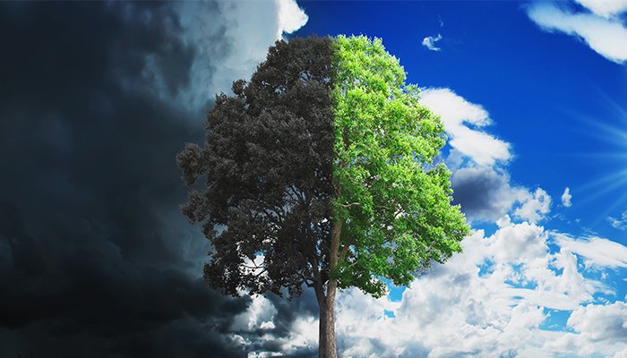 Cum ar putea arata 2030 daca invingem schimbarea climatica