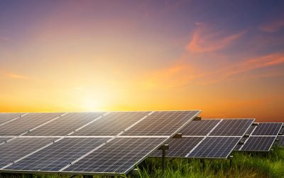 Canadienii de la Grasshoper Energy – proiecte solare cu o capacitate de 1 GW in Romania