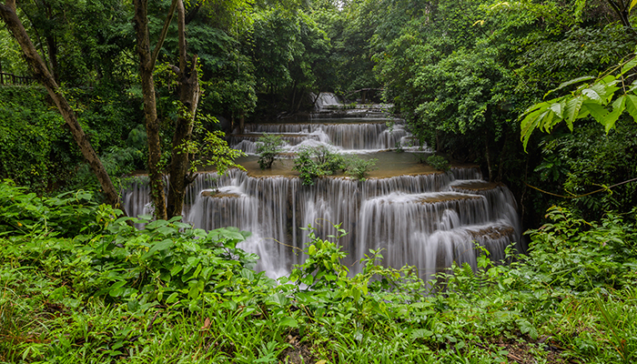 Schimbarea climatica ar putea compromite rezervoarele de carbon reprezentate de padurile tropicale