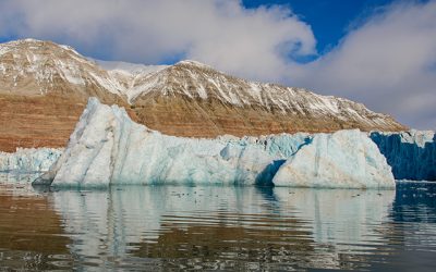 Zapada din Antarctica devine verde – iar schimbarea climatica va transforma si mai mult fata Antarcticii