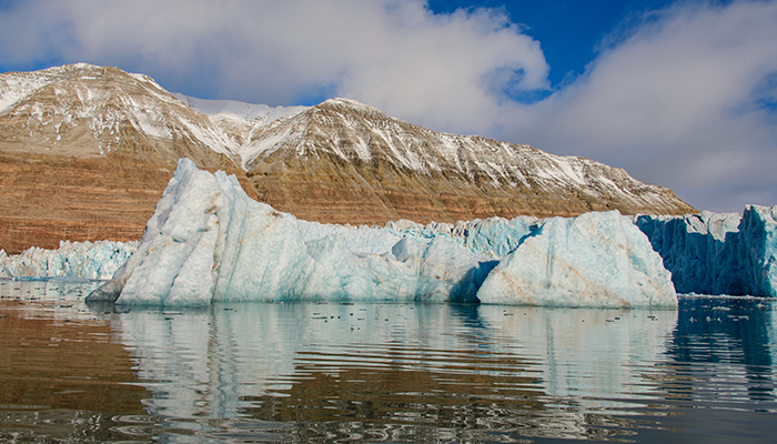 Zapada din Antarctica devine verde – iar schimbarea climatica va transforma si mai mult fata Antarcticii