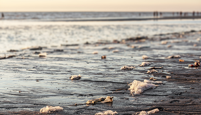 Calitatea apei: inca un motiv de ingrijorare la plaja