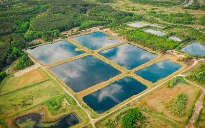 Noile zone umede de apa pluviala vor reduce inundatiile si poluarea