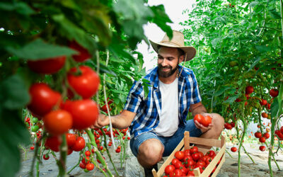 O agricultura sustenabila