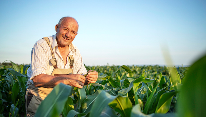 Beneficiile vremurilor dedemult: putem face agricultura asemeni bunicilor nostri?