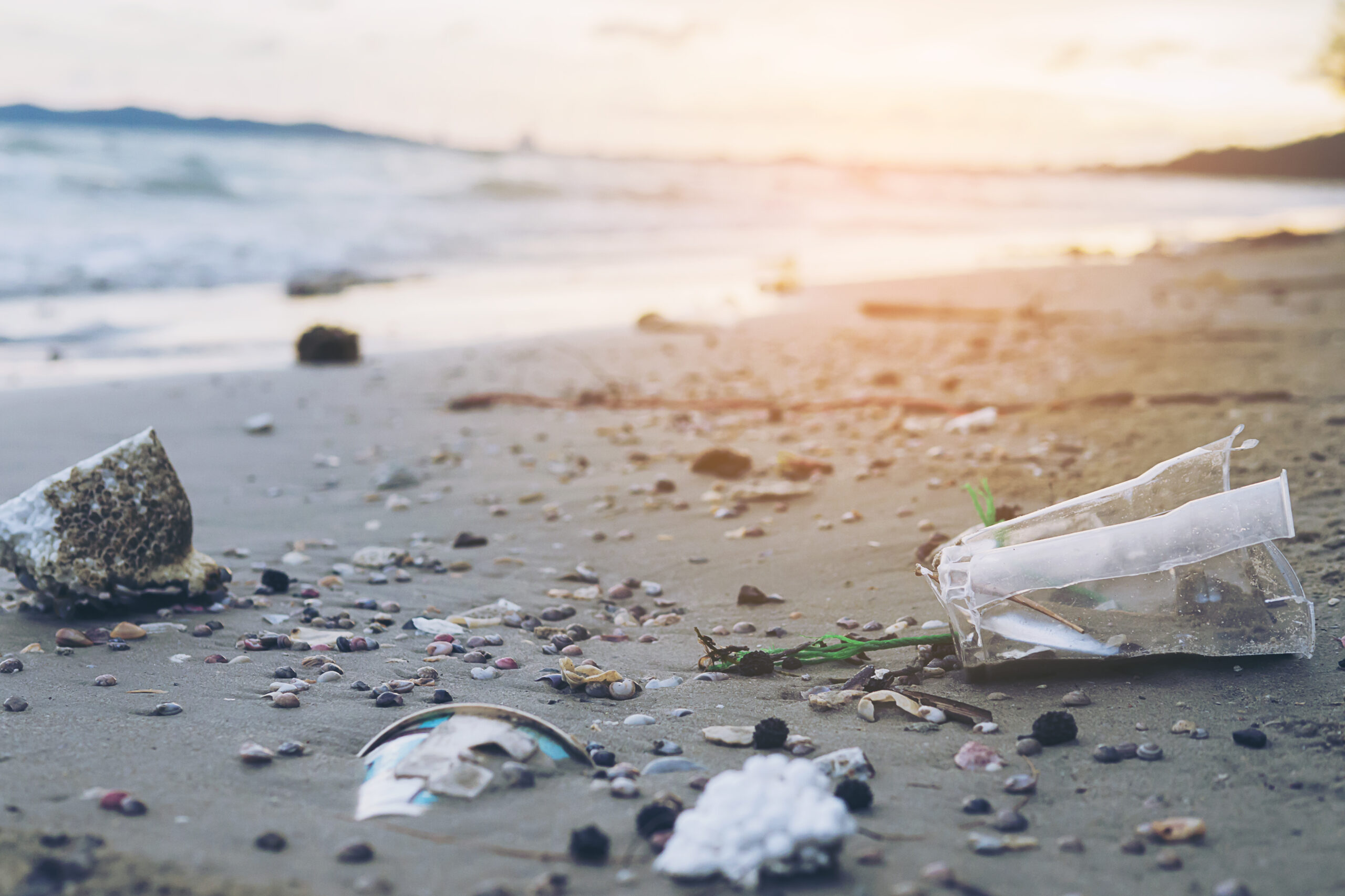 O tona de gunoaie de pe plaja aduc premiul pentru sustenabilitate unui locuitor din Portland