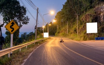 Poluarea cauzata de lumina lampilor stradale – asociata cu disparitia insectelor