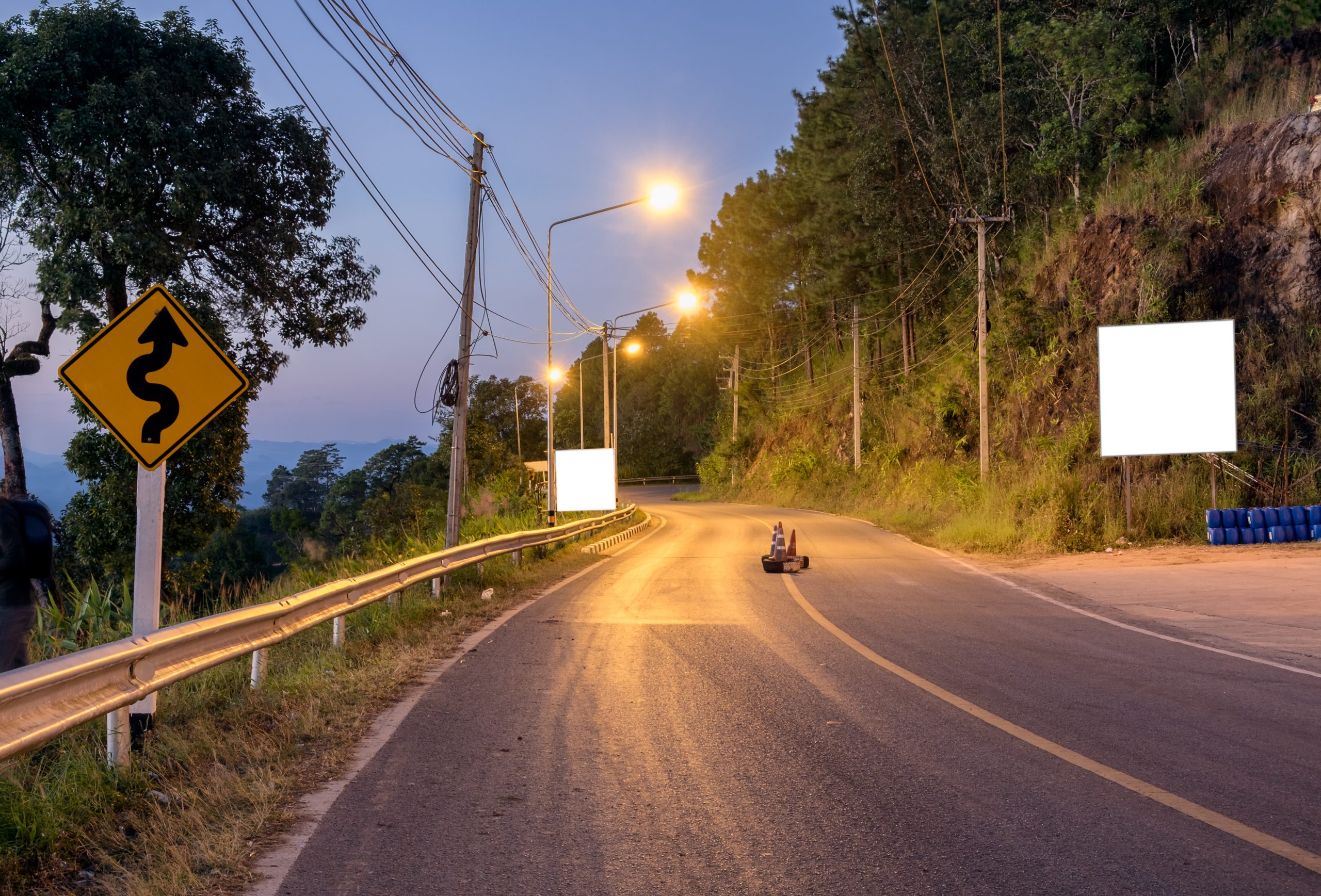 Poluarea cauzata de lumina lampilor stradale – asociata cu disparitia insectelor