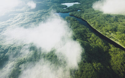 Poluare atmosferica chimica record in padurea tropicala amazoniana