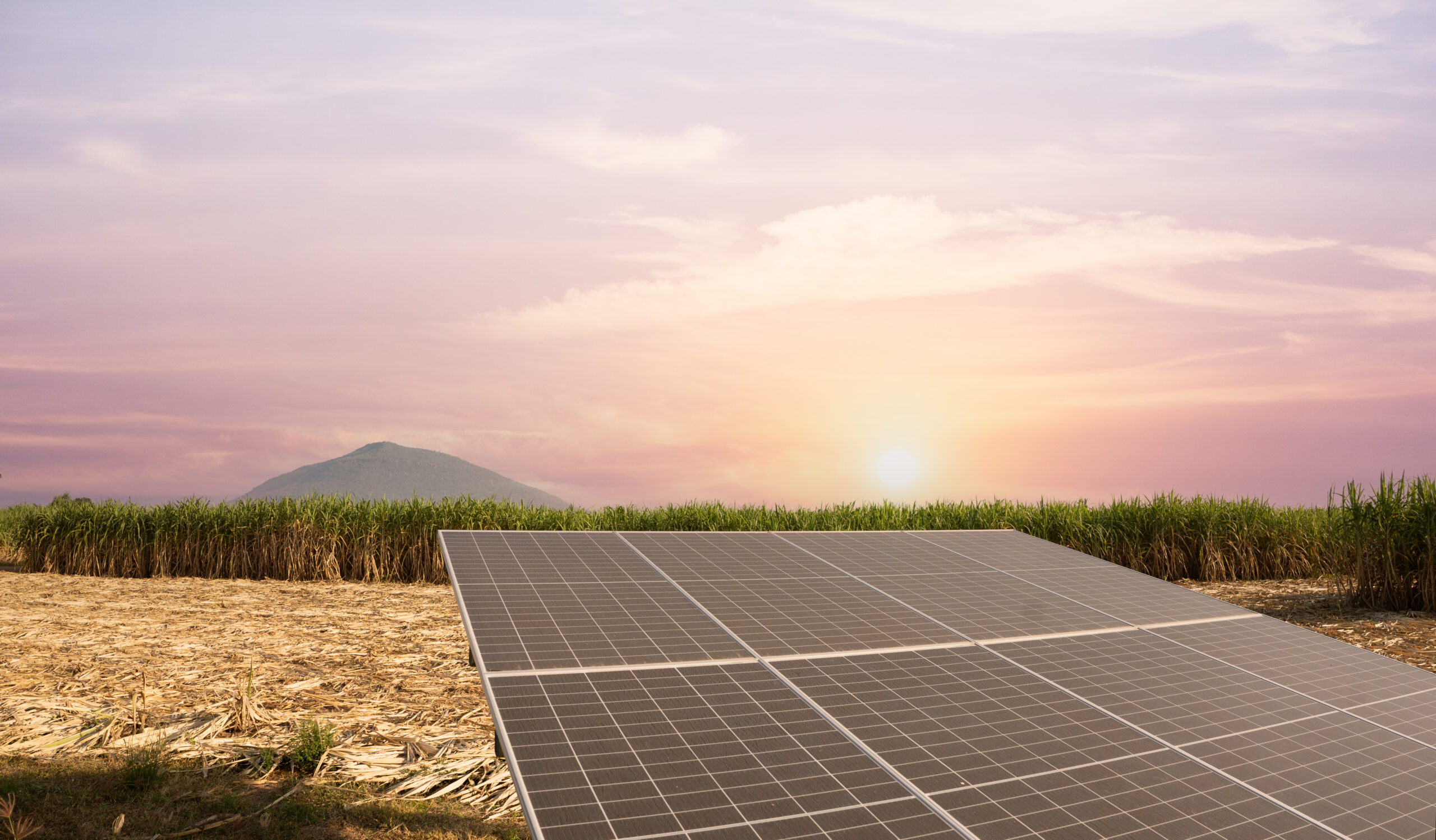 Fermierii profita de boom-ul energiei solare