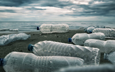 Natiunile lumii sunt de acord sa puna capat poluarii cu plastic