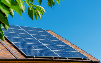 Energia solara: revolutia acoperisurilor verzi