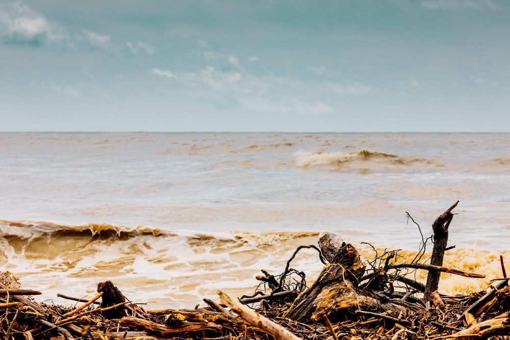 Care este cea mai importanta cauza a poluarii apei?