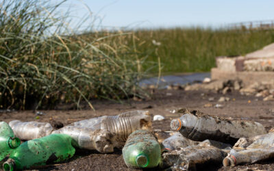 Africa de Sud: Johannesburg se confrunta cu problema in crestere a poluarii cu plastic