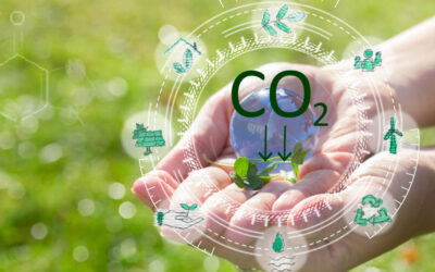 4 din 10 profesionisti din domeniul sustenabilitatii evita compensarea carbonului in planurile de decarbonizare