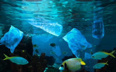 SUA anunta un parteneriat pentru reducerea poluarii cu plastic a oceanelor din Indonezia