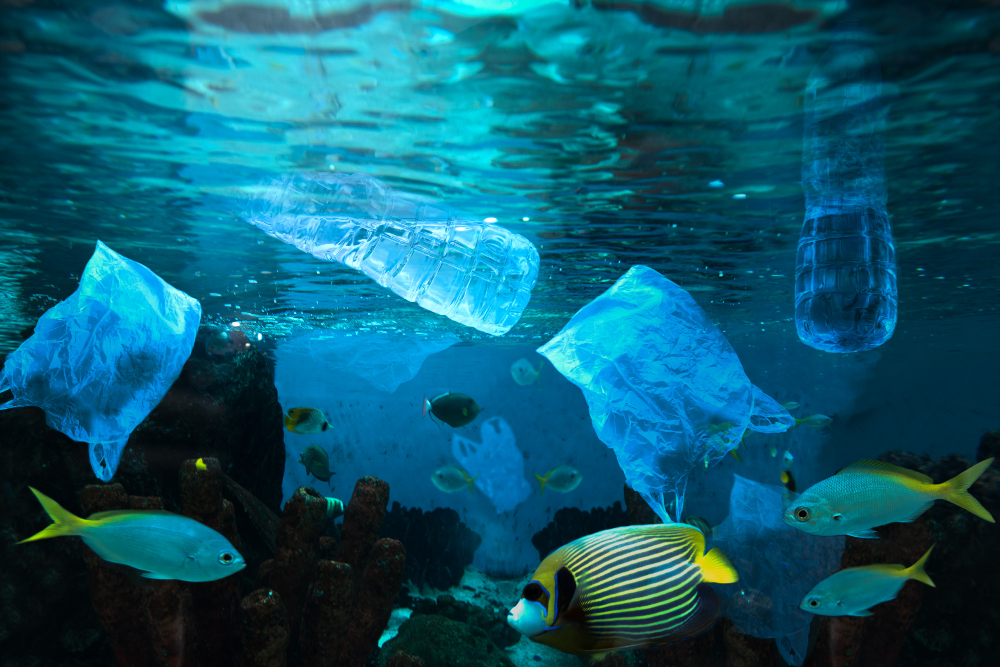 SUA anunta un parteneriat pentru reducerea poluarii cu plastic a oceanelor din Indonezia