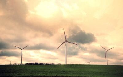 Polonia: energia eoliana ramane fara combustibil