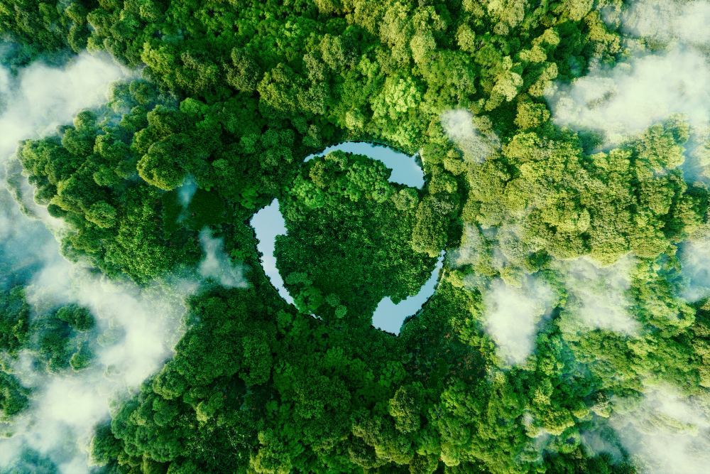Liderii tineri care conduc actiunea pentru natura si clima
