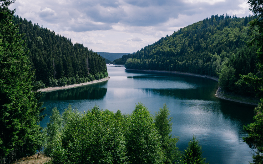 Puterea revitalizanta a unei simple doze de natura