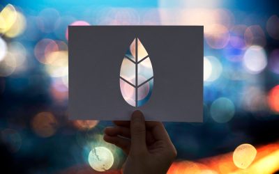 Ce stim azi despre biocombustibili si de ce conteaza mai mult decat pare